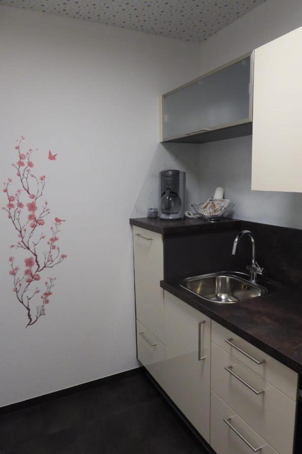 לינץ Ferienwohnung Muehlburger מראה חיצוני תמונה